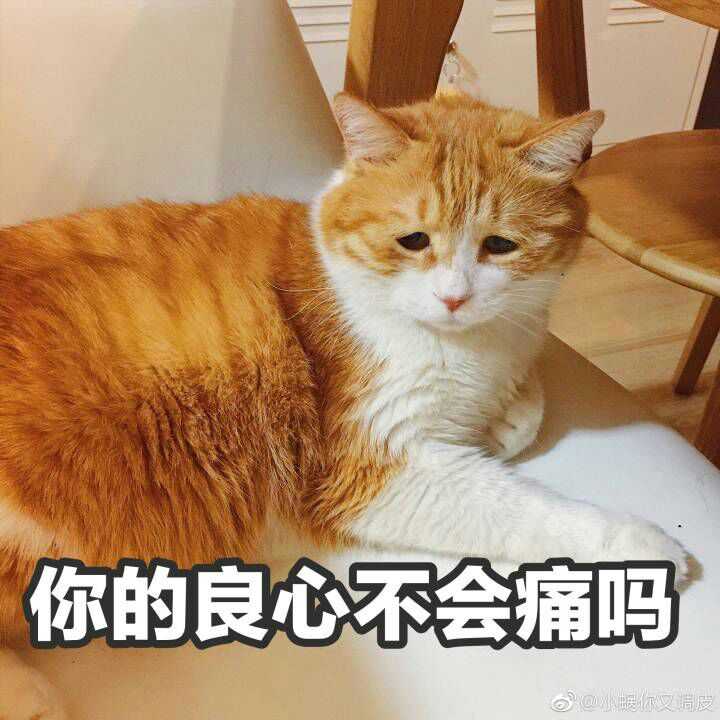 丢人丢到家是种怎样的体验?