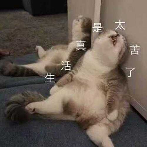 如果你是幽默风趣热爱生活的小哥哥小姐姐,                     起