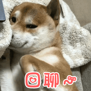 有哪些哄男朋友的可爱的表情包?