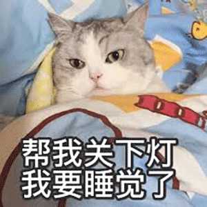 有没有那种可爱的动物表情包
