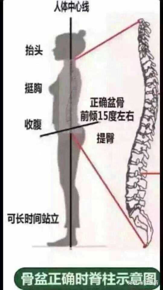 有些人站直的时候,是不是和示意图不一样呢?