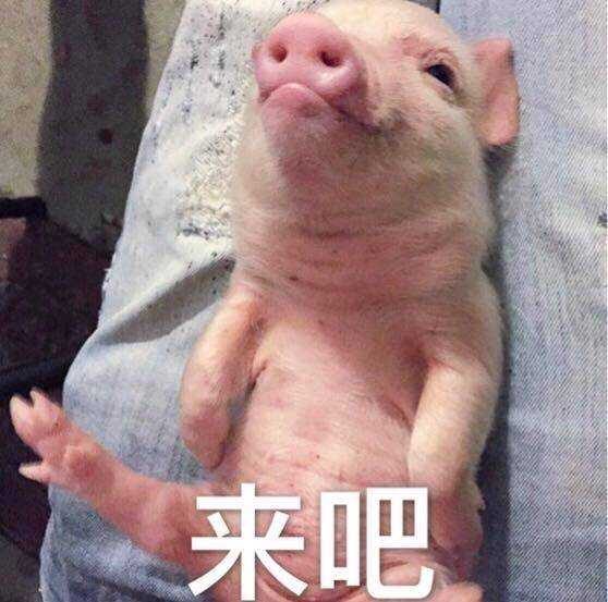 你们有哪些骚气的表情包?