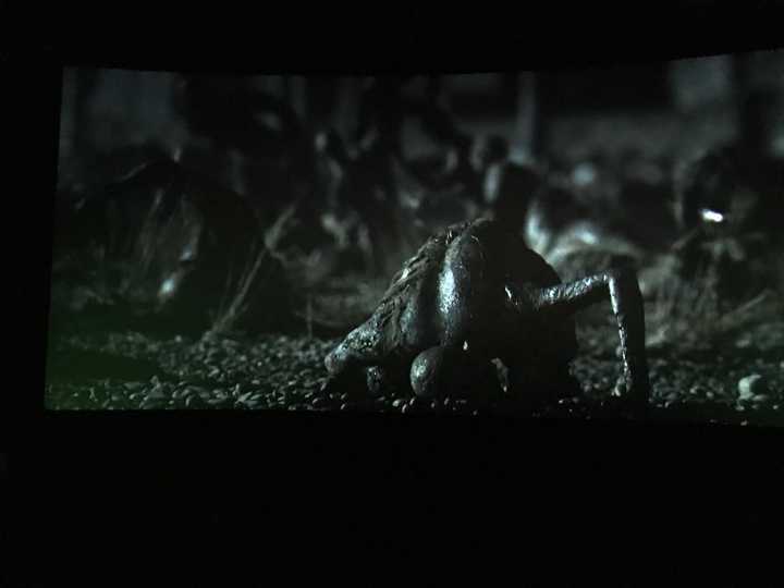 如何评价电影《异形:契约》(alien: covenant) ?