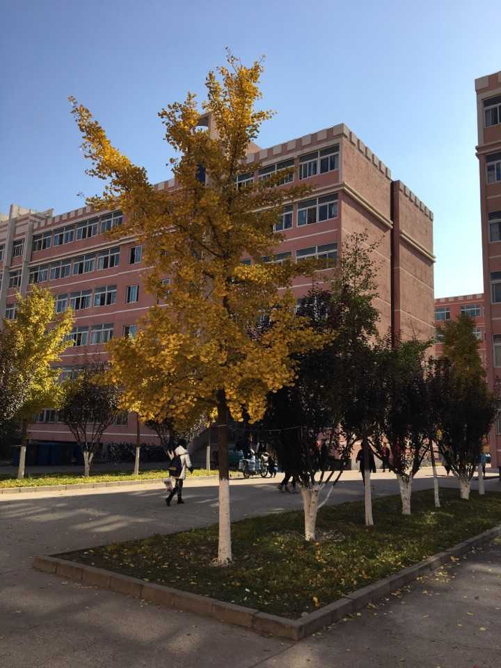 在北京化工大学(buct)就读是怎样一种体验?