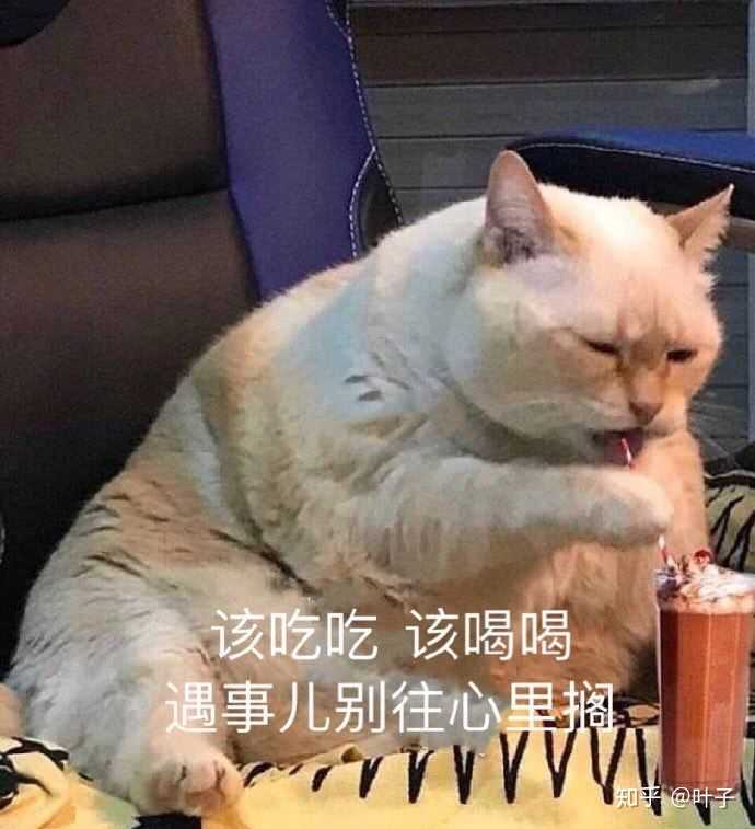 有哪些安慰别人的表情包?