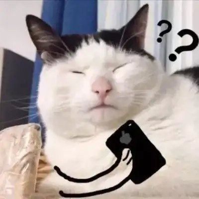 有哪些让你欲罢不能的沙雕头像?