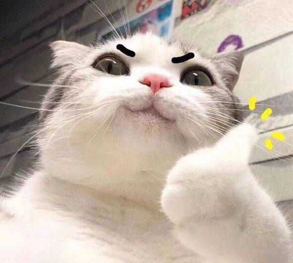 你都存了哪些沙雕表情包?
