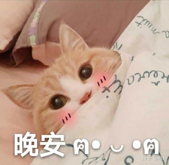有没有可以给对象发的撒娇的表情包?