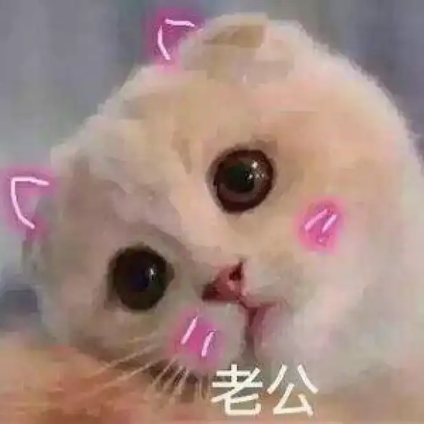 其实男生都很好哄的,乖乖的认个怂,就算他表面生气,心里早就原谅你啦