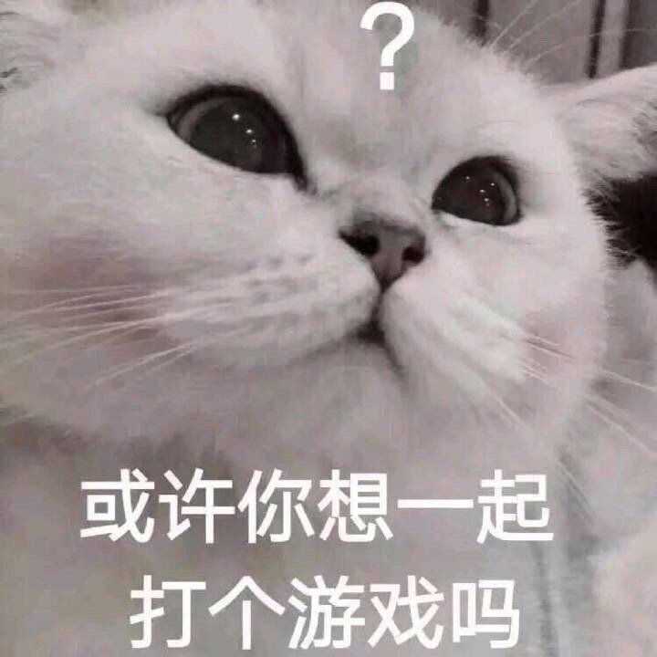 有哪些问女孩子在不在的表情包