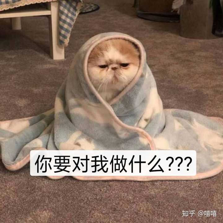 有哪些沙雕而不乏可爱的表情包(狗头)?