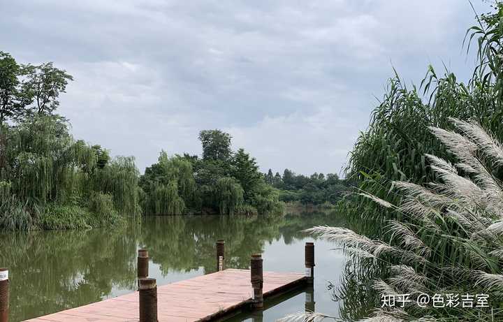 四,白鹭湾湿地公园 地址:锦江区时蔬路108号 五,三圣乡 景点级别