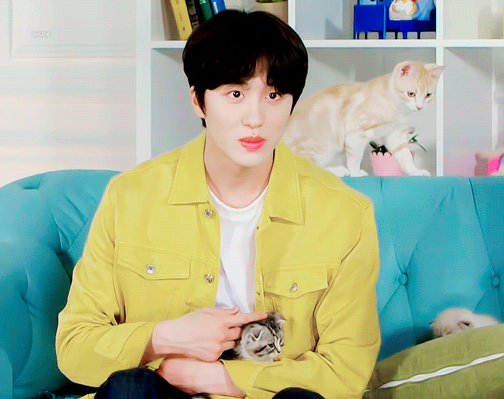 能不能有姐妹科普一下sf9这个团顺便搞一个那种合照标