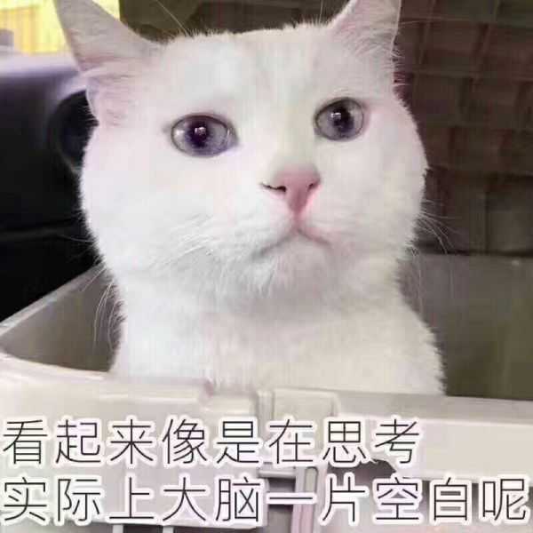 变成这张表情包