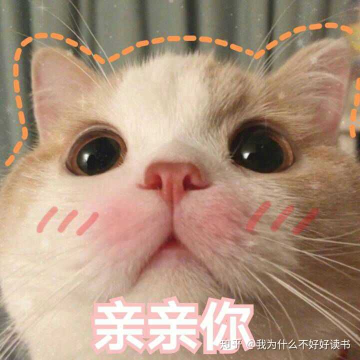 有哪些可以哄女朋友的表情包?