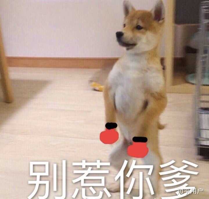 在老师面前人模狗样 背后捅人刀子 您的所作所为作为和您是隐形姐妹