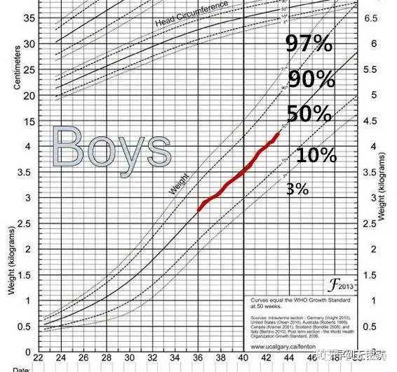 早产儿比足月儿易出现发育指标延迟早产儿的生长曲线怎么看