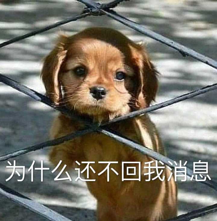 有没有一看就想笑的表情包?