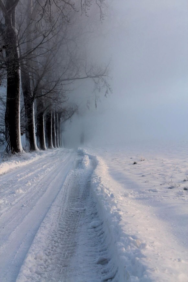 有什么好看的雪景壁纸图片?