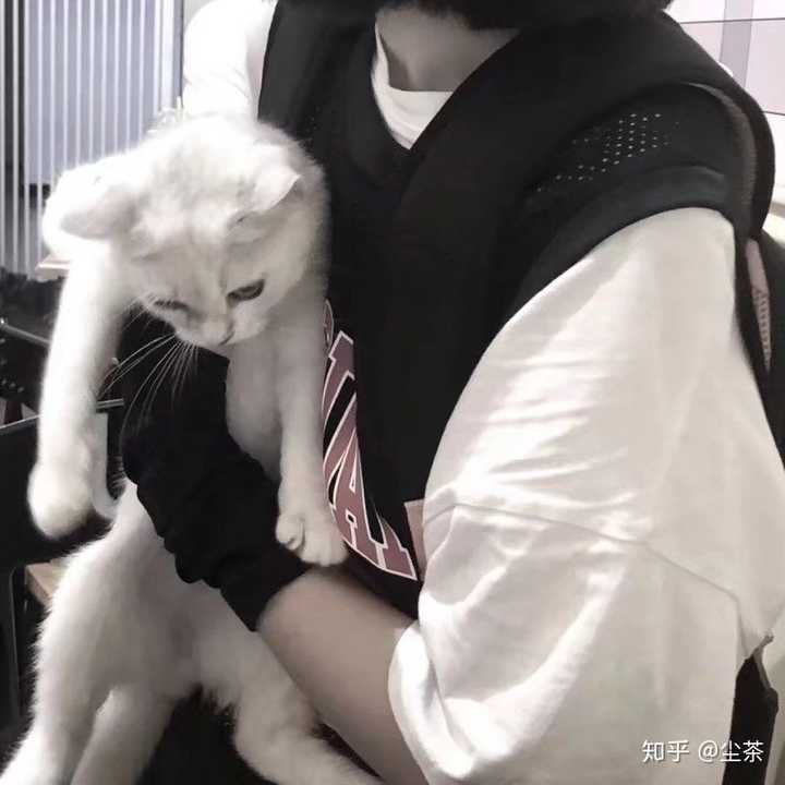 再来对情头