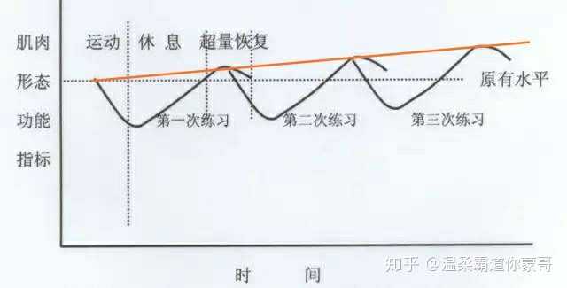 因此渐进超负荷难以形成,每一次训练