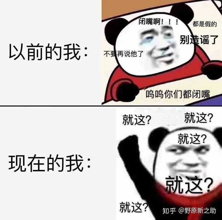 要不就努努力当个记者,好好问一下杨紫.