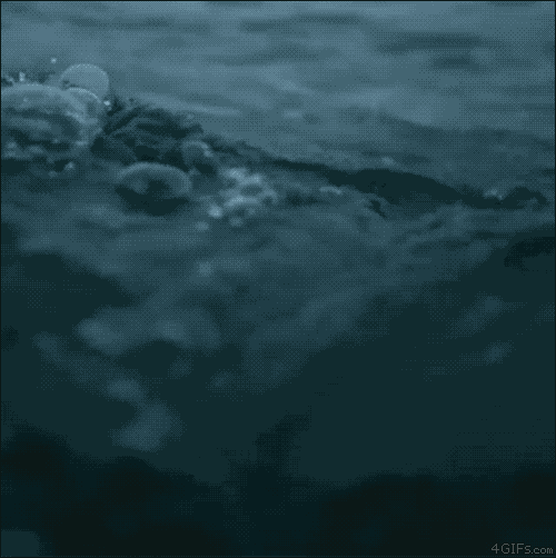 有哪些深海恐惧症看了会害怕的图片?