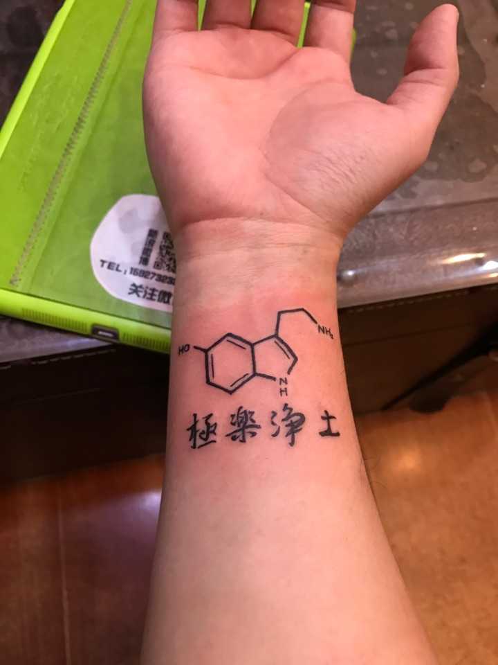 有什么化学式适合纹身?