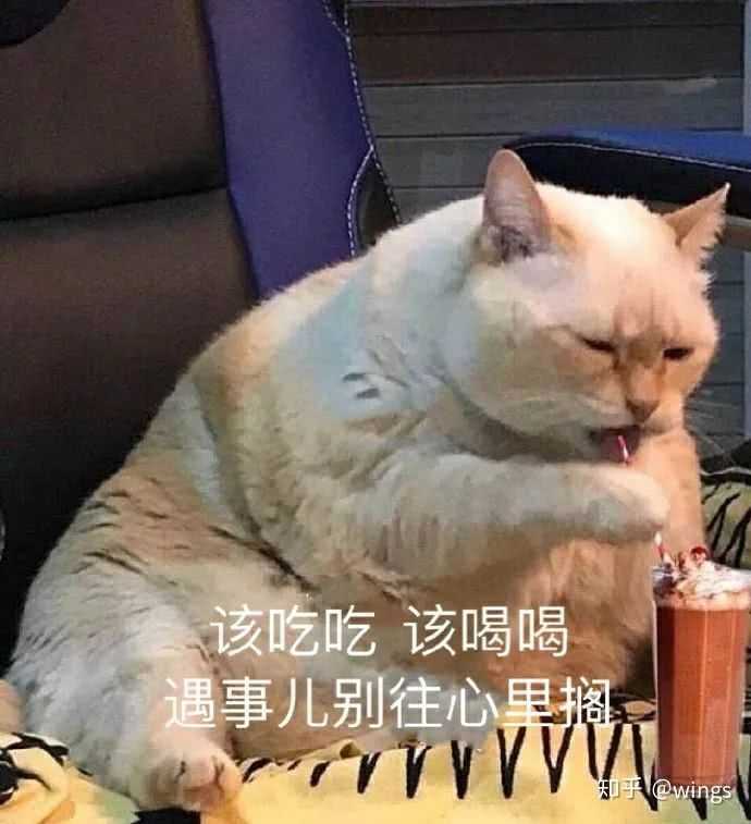 有什么撩女生的情话和表情包?