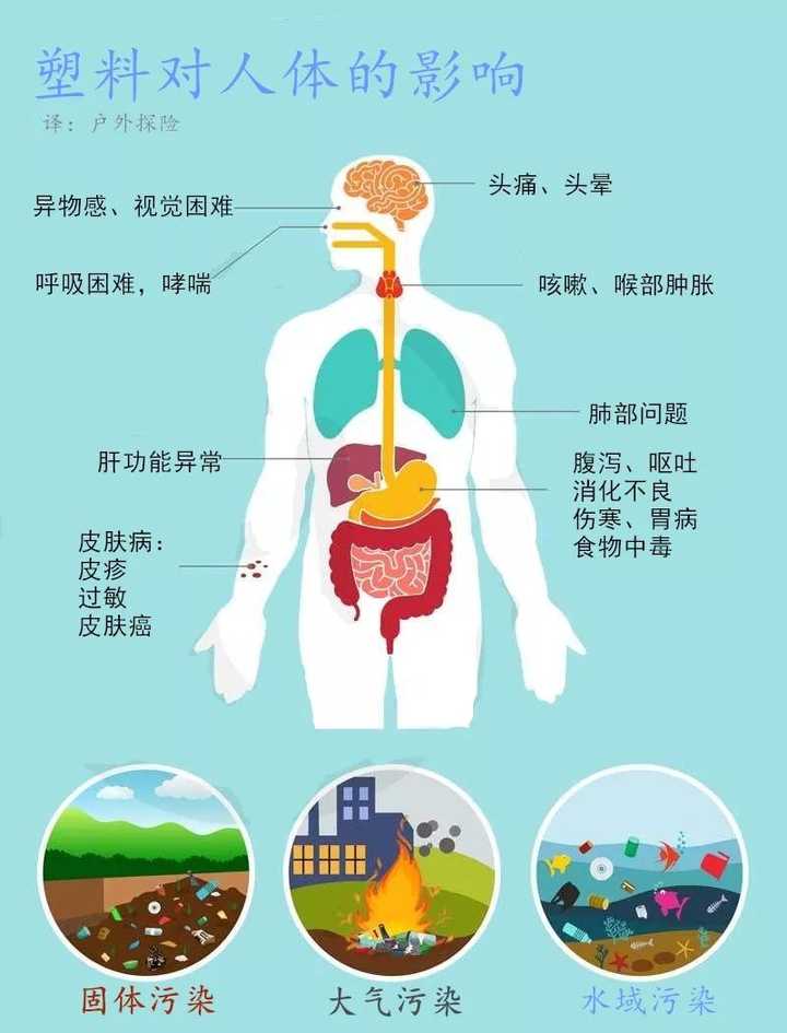 塑料颗粒进入生物小循环,并不需要多少时间,对人体的伤害却不小.