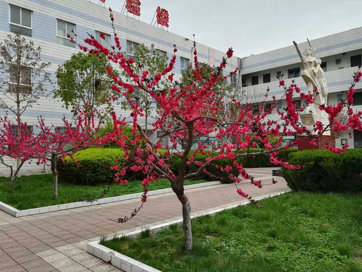 在乾县一中读书是怎样的一种体验?
