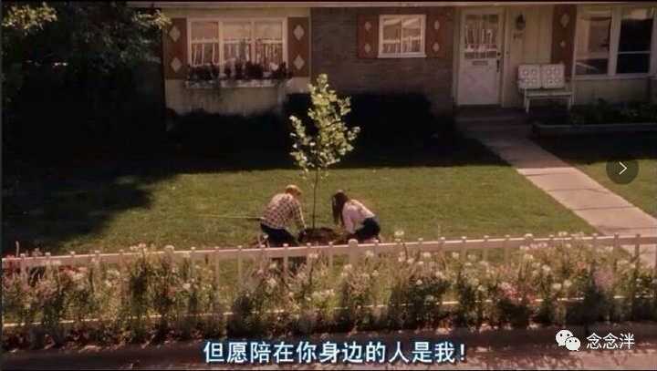 如何评价《怦然心动》这部电影?