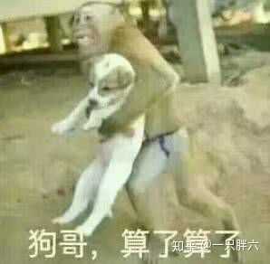 把你们的沙雕表情包都亮出来吧 ?