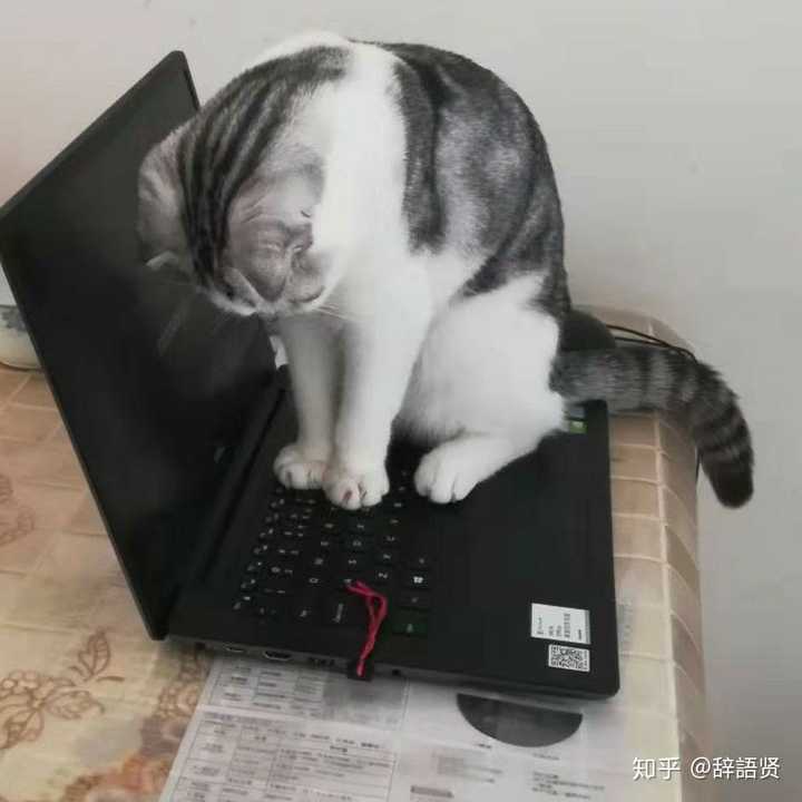 跪键盘