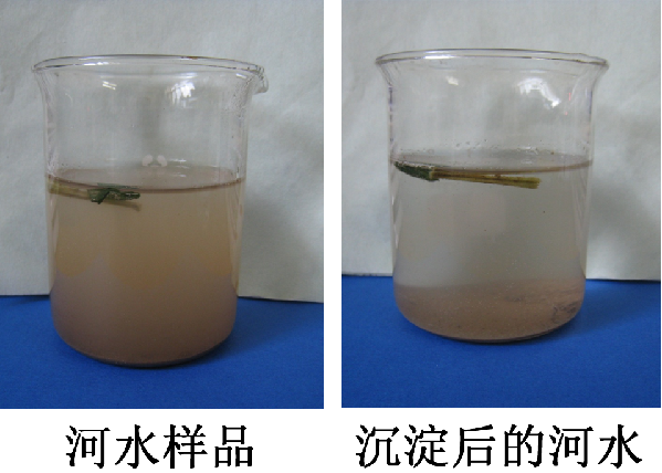 跟阿胶生产过程类似的明矾净水