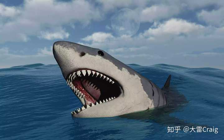 梅氏利维坦鲸和巨齿鲨哪个更厉害些?