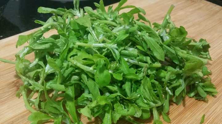 对了,清明菜长这个样子