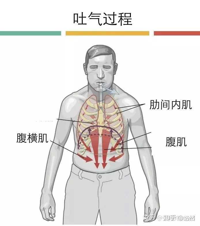 腹式呼吸吸气总感觉膈肌下不去,感觉和胸式呼吸没啥区别了,是因为腹肌