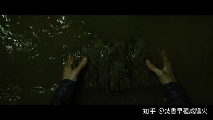 韩国电影《寄生虫》有哪些细思极恐(值得品味)的细节?