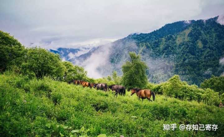 地址:阿坝藏族羌族自治州汶川县卧龙镇转经楼村干海子