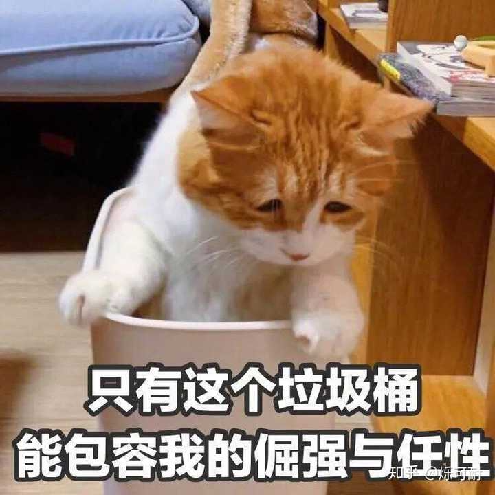 你手机里最搞笑的表情包有哪些(可以关闭水印吗)?