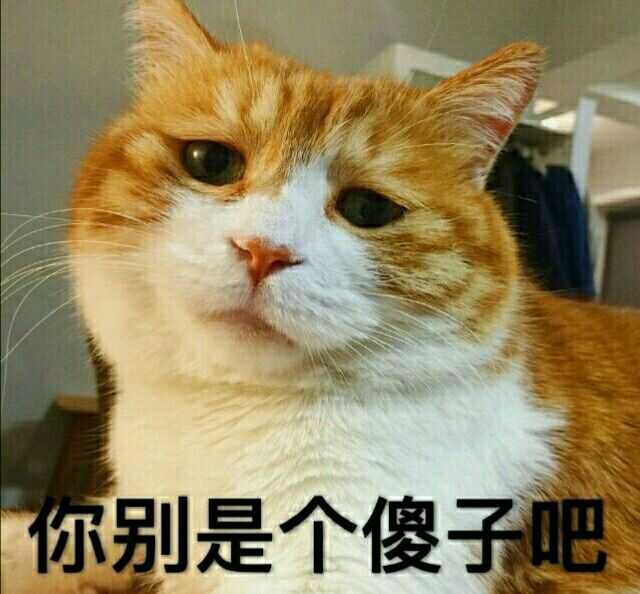 你们身边有哪些人硬生生地活成了段子?