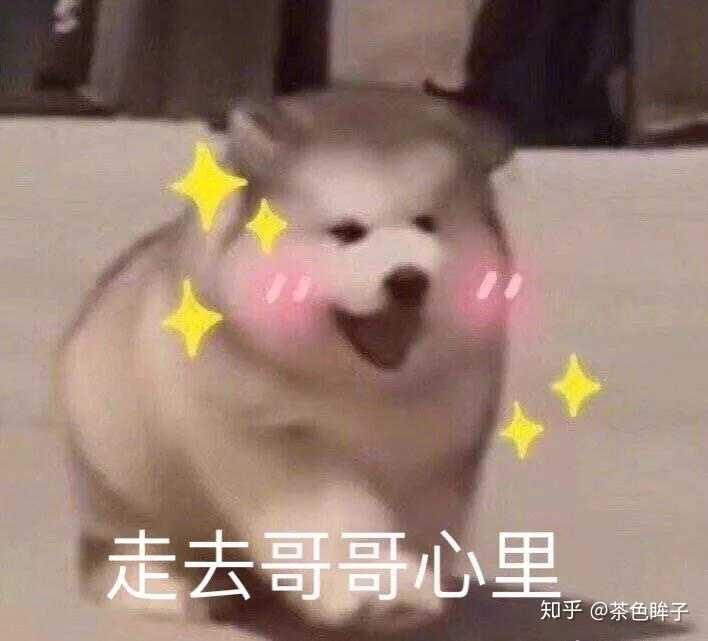 有没有什么可可爱爱的认错求原谅的视频或者表情包!