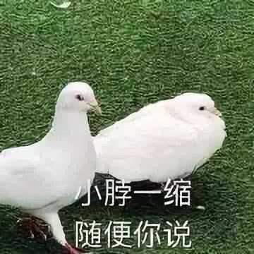女生老是用沙雕表情包会不会引起反感?