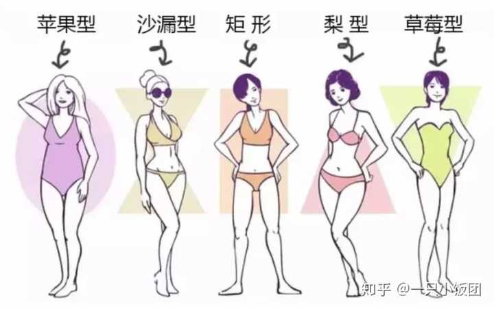 就目前而言,我们将身材分为5种类型,梨形,草莓型,苹果型,沙漏型,矩形.