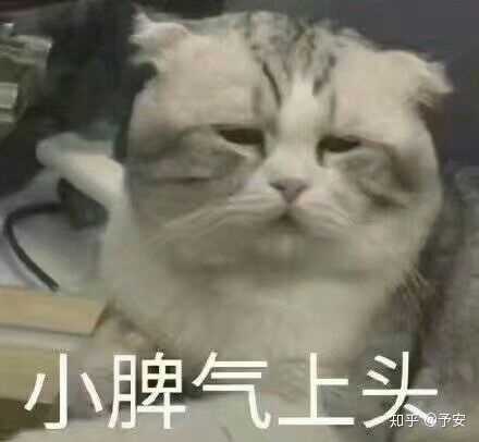 有哪些可以很好表现愤怒想骂人的表情包?