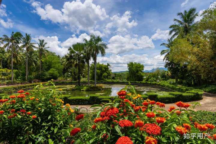 坐标:海南万宁市东2公里处 兴隆热带植物园:植物王国 兴隆热带