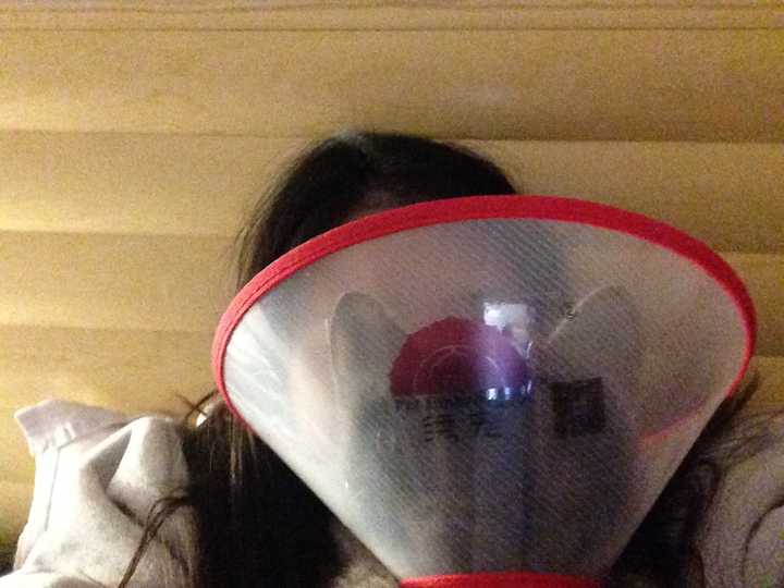 为什么猫咪喜欢踩女生的胸,总爱趴在胸上睡觉?