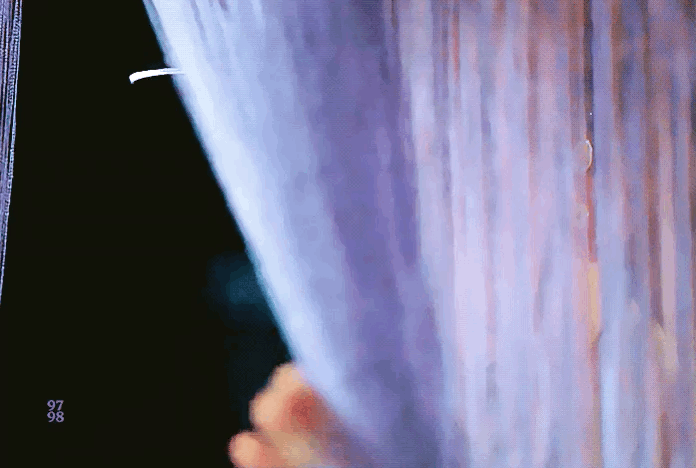 女idol: 允儿,雪莉,秀智