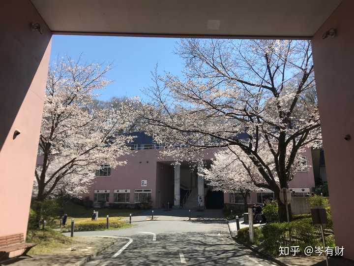 在东京造形大学就读是怎样一番体验